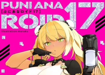 Puni Ana Roid 17 Review Blog Image