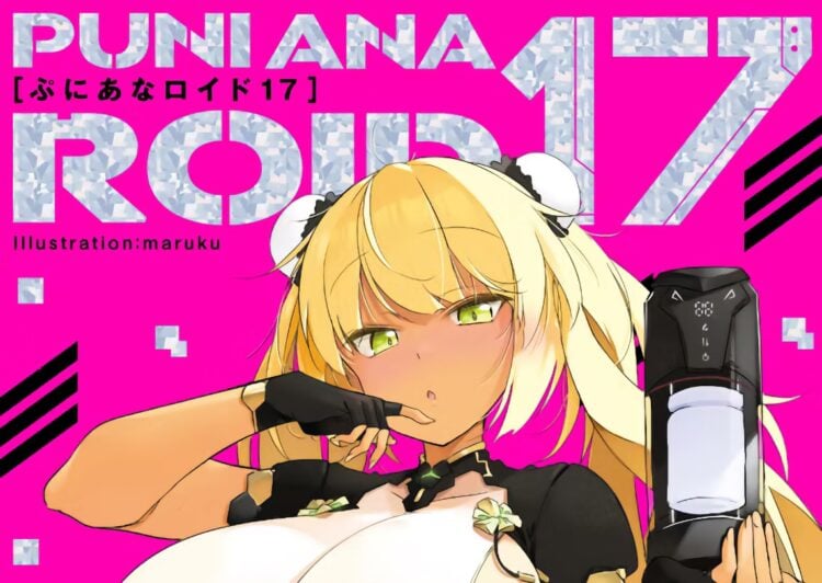 Puni Ana Roid 17 Review Blog Image