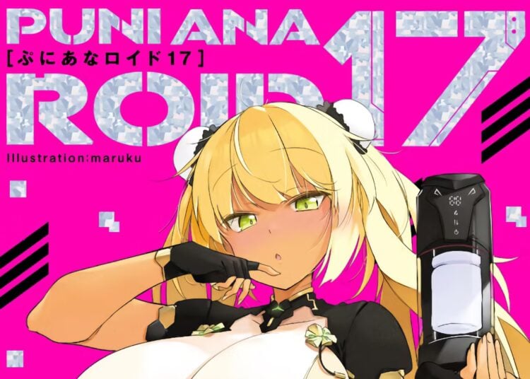 Puni Ana Roid 17 Review Blog Image